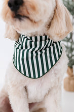 Load image into Gallery viewer, Green Stripes | DOG BANDANNA