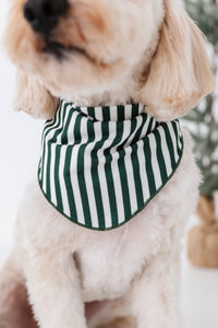 Green Stripes | DOG BANDANNA