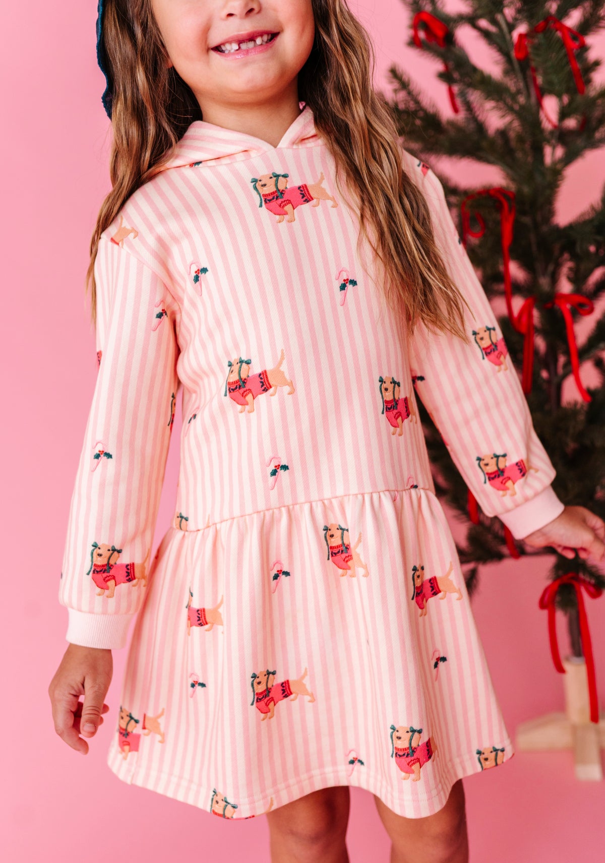 Doxie Holiday | Hoodie Sweatshirt Dress