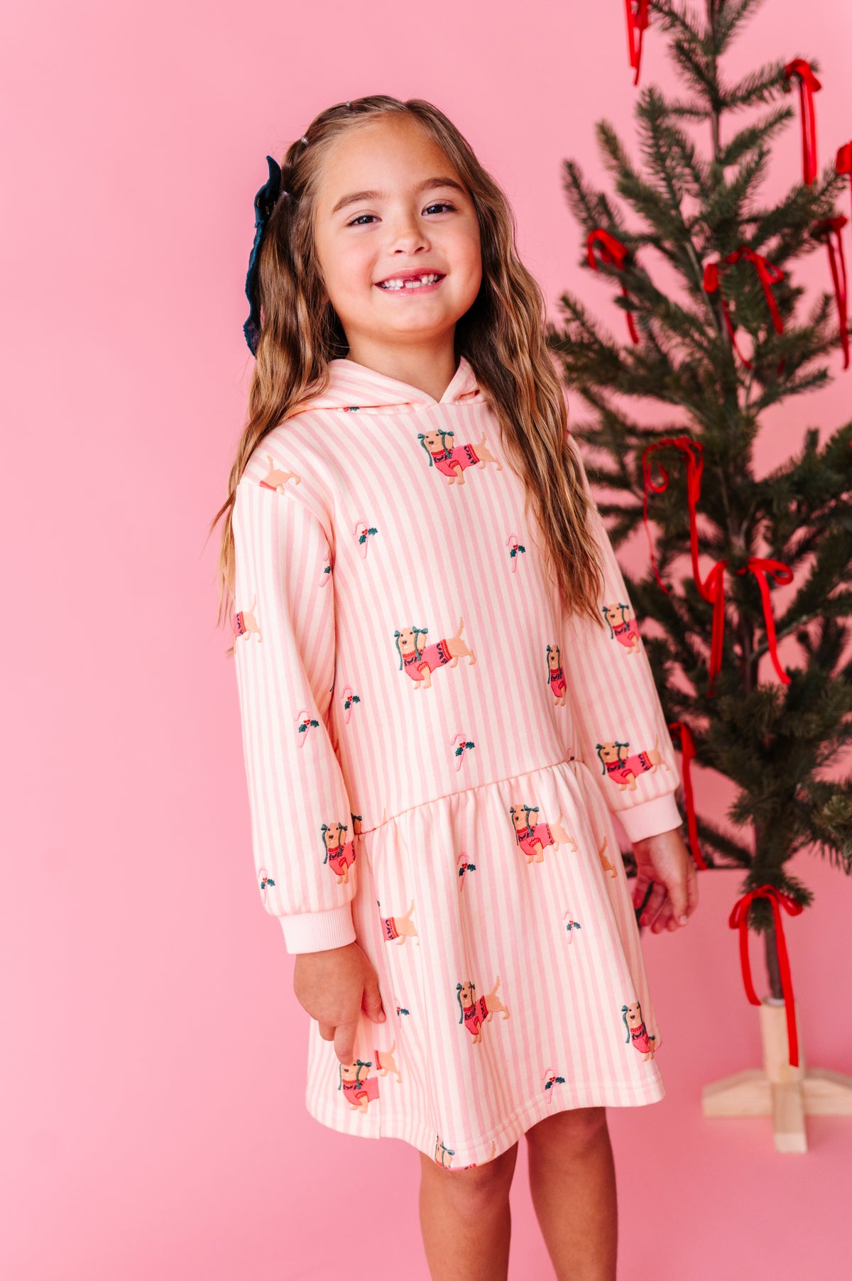 Doxie Holiday | Hoodie Sweatshirt Dress