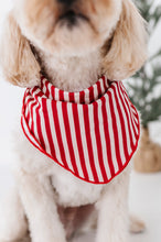 Load image into Gallery viewer, Red Stripes | DOG BANDANNA
