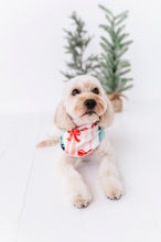 Load image into Gallery viewer, Bows | DOG BANDANNA