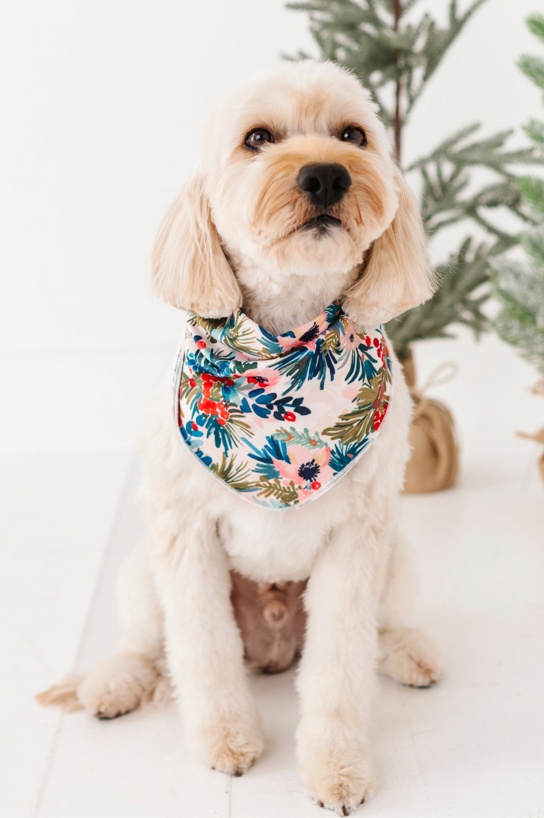 Holly Floral | DOG BANDANNA