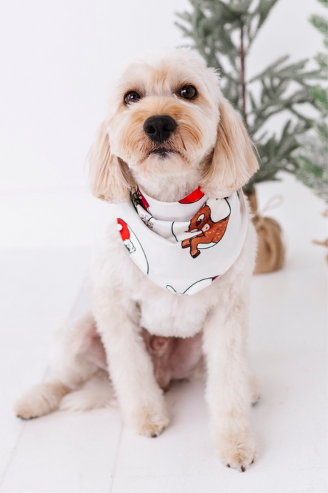 Classic Characters | DOG BANDANNA