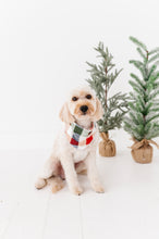 Load image into Gallery viewer, Holiday Plaid | DOG BANDANNA