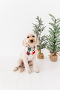 Holiday Plaid | DOG BANDANNA