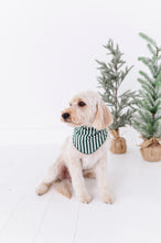 Load image into Gallery viewer, Green Stripes | DOG BANDANNA