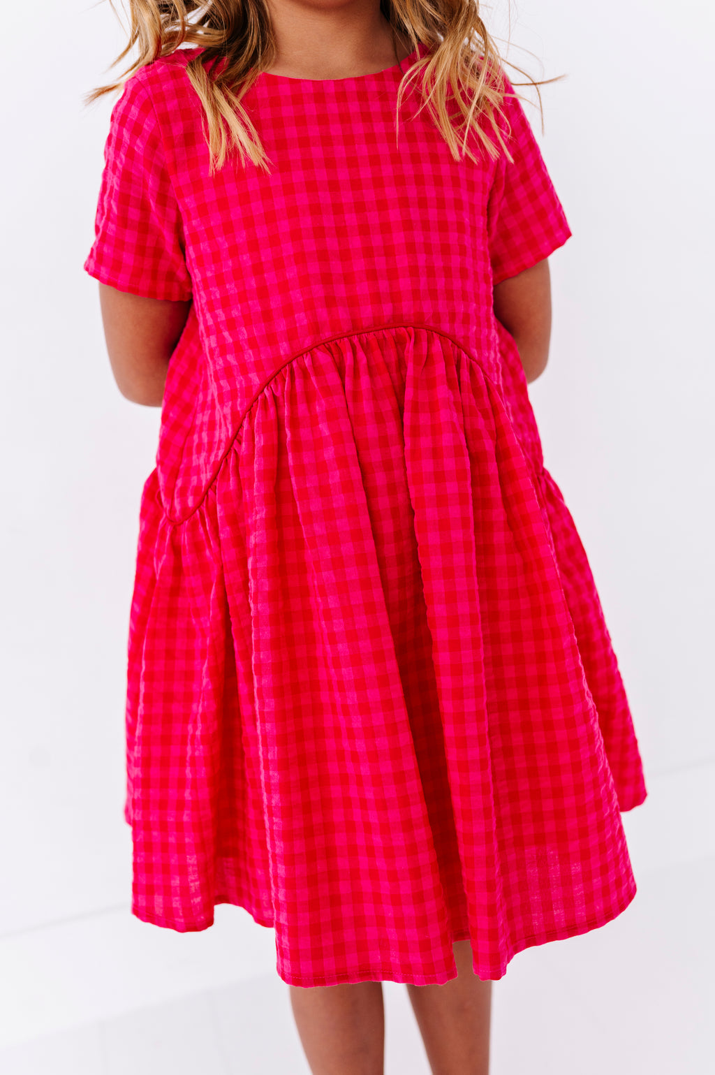 Merry Berry Gingham | Swing Dress