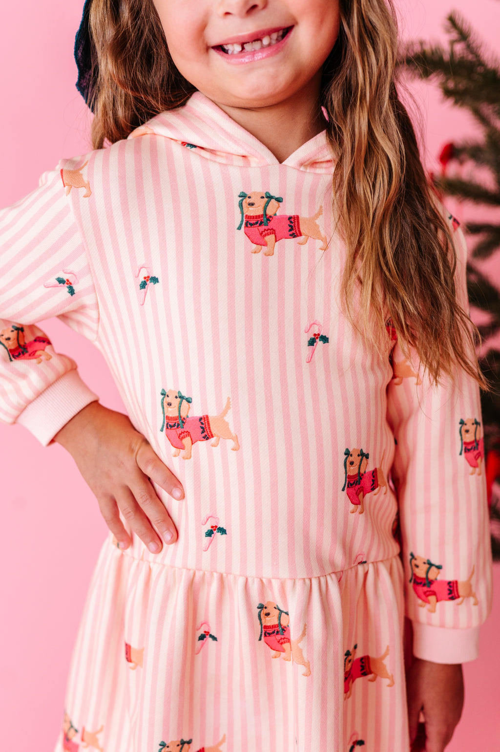 Doxie Holiday | Hoodie Sweatshirt Dress