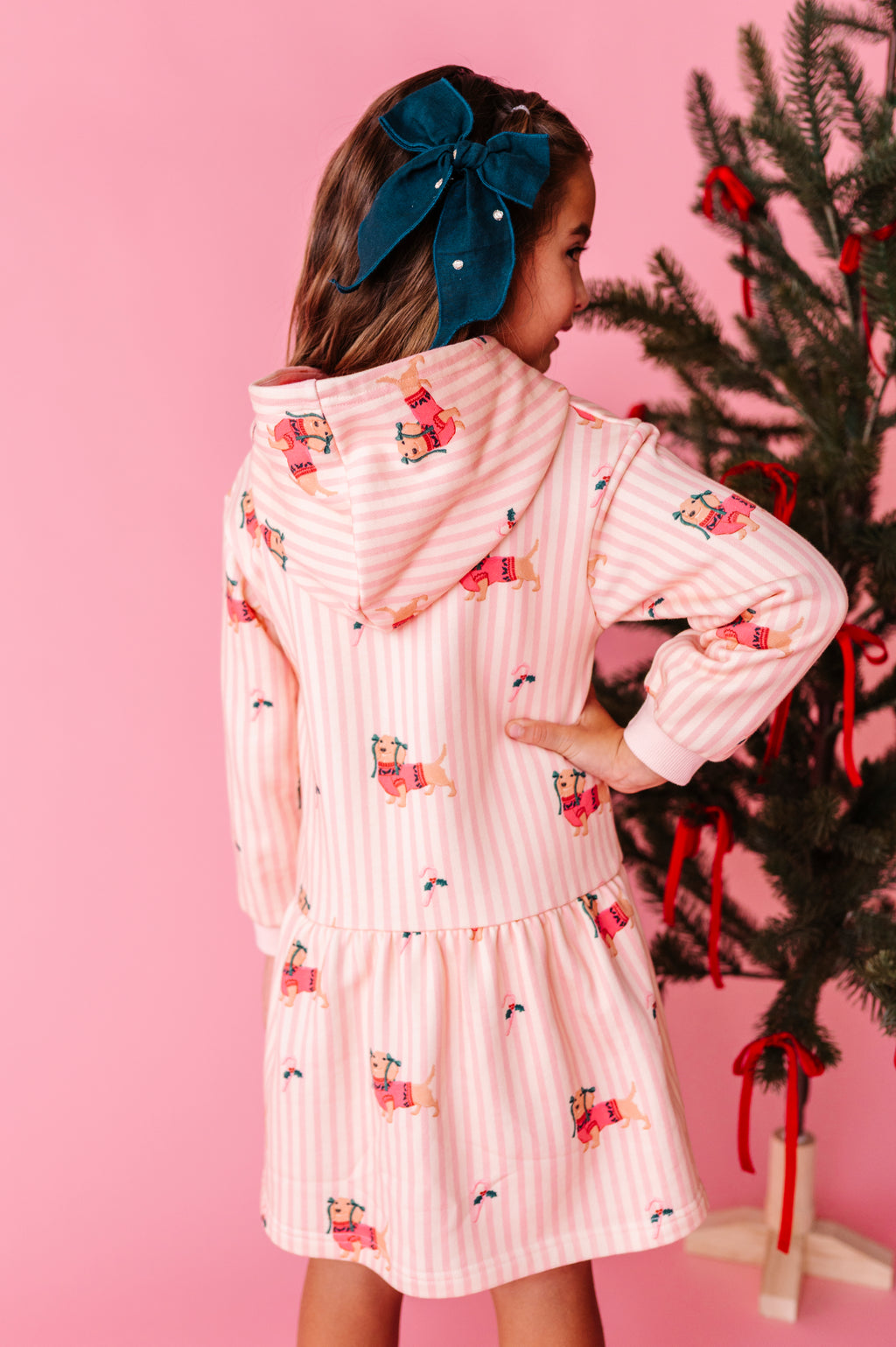 Doxie Holiday | Hoodie Sweatshirt Dress