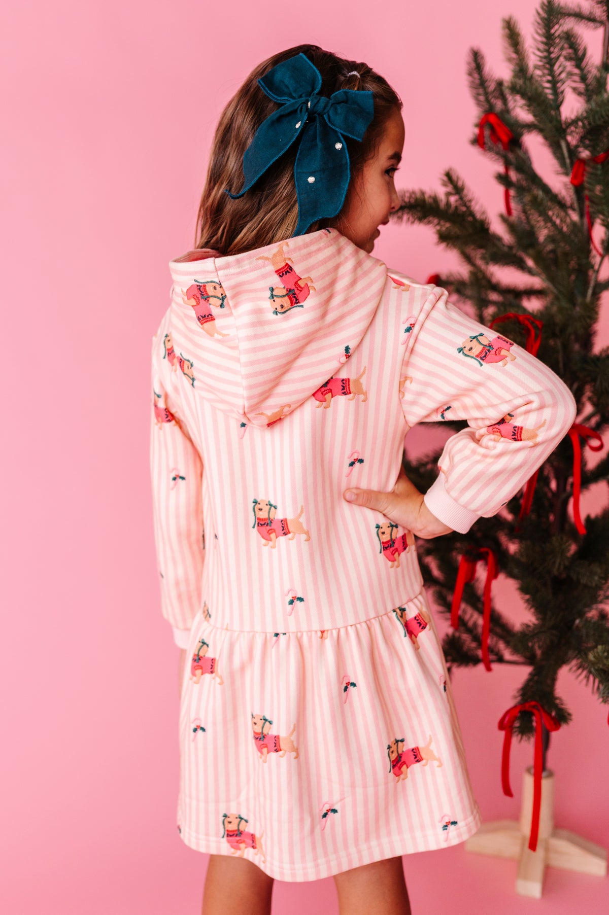 Doxie Holiday | Hoodie Sweatshirt Dress