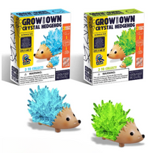 Load image into Gallery viewer, Grow Your Own Crystal Hedgehog