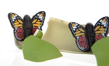 Load image into Gallery viewer, Hatch A Butterfly Toy