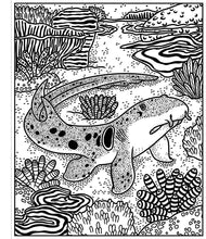 Load image into Gallery viewer, Magic Painting Book | Sharks