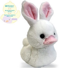 Load image into Gallery viewer, Plush Duckee Bunny