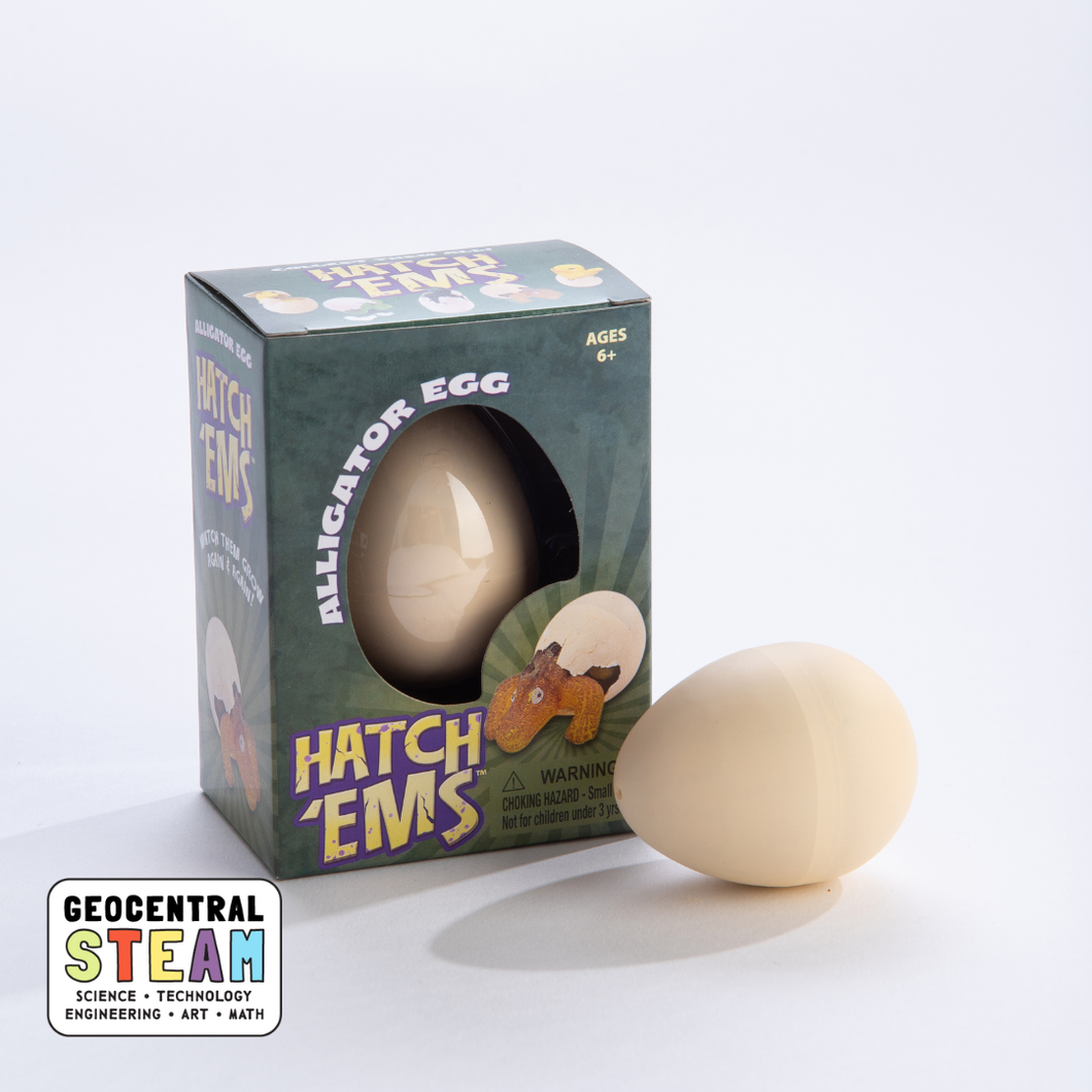 Mini Hatch'ems: Alligator Egg