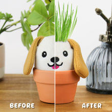 Load image into Gallery viewer, Dog | Grow Kit